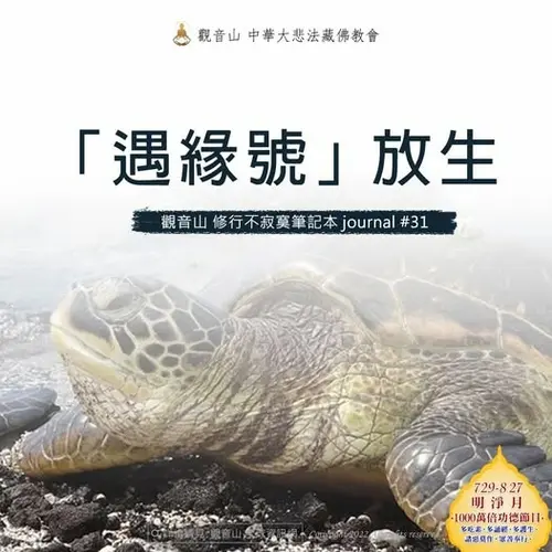 烏龜放生遇緣號觀音山保育放流